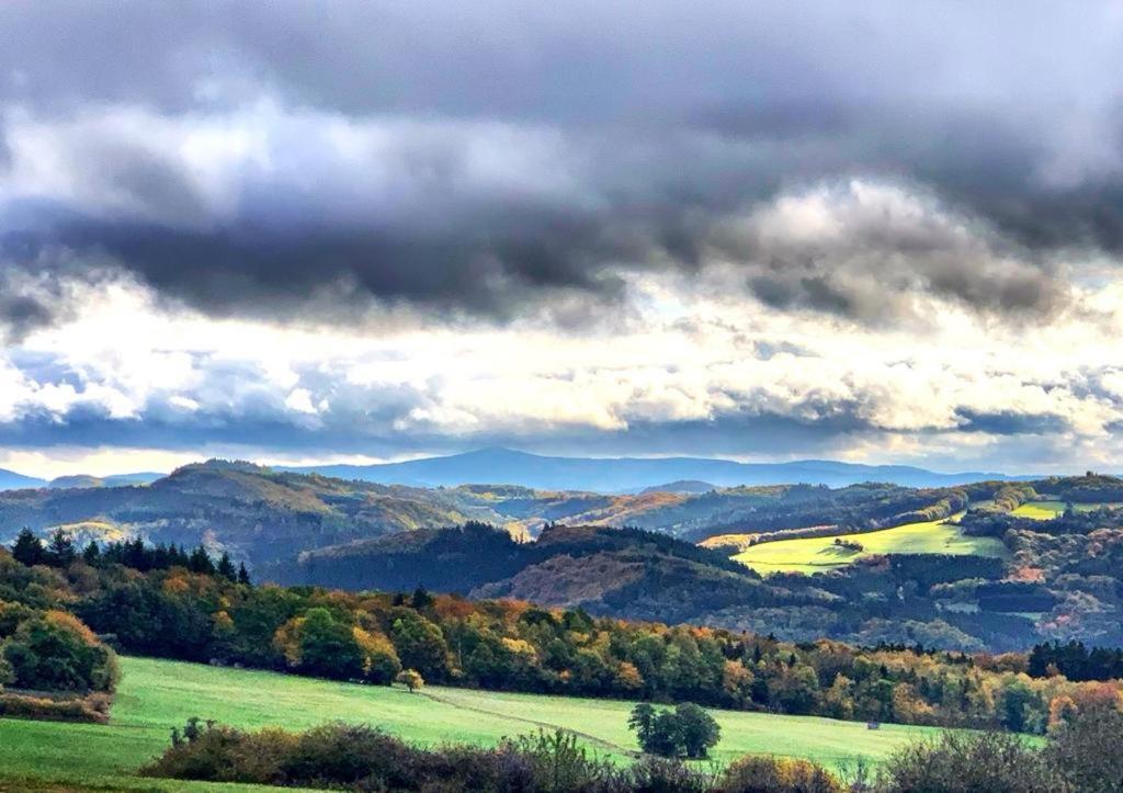 Gasthaus Zur Burgschaenke Aremberg Exteriör bild