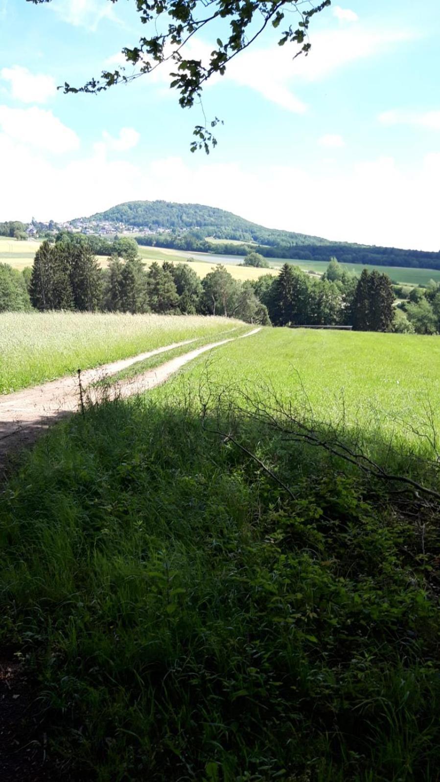 Gasthaus Zur Burgschaenke Aremberg Exteriör bild