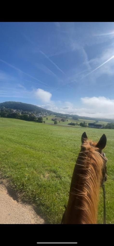 Gasthaus Zur Burgschaenke Aremberg Exteriör bild